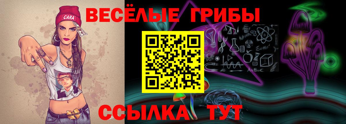 Галлюциногенные грибы ЛСД Дивногорск