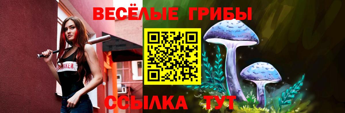 Дивногорск  Галлюциногенные грибы Cubensis  Вход с VPN 